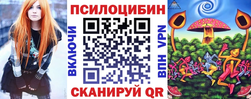 Псилоцибиновые грибы Cubensis Юхнов
